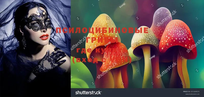 Псилоцибиновые грибы MAGIC MUSHROOMS  Каменка 